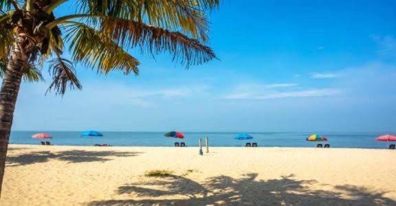 Marari Beach Cleetus Homestay 마라리쿨람 외부 사진
